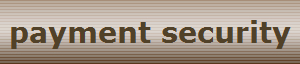 payment security